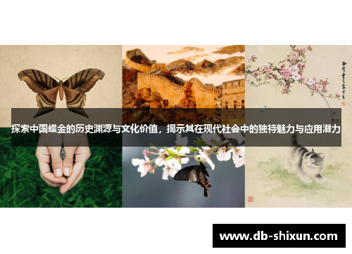 探索中国蝶金的历史渊源与文化价值，揭示其在现代社会中的独特魅力与应用潜力